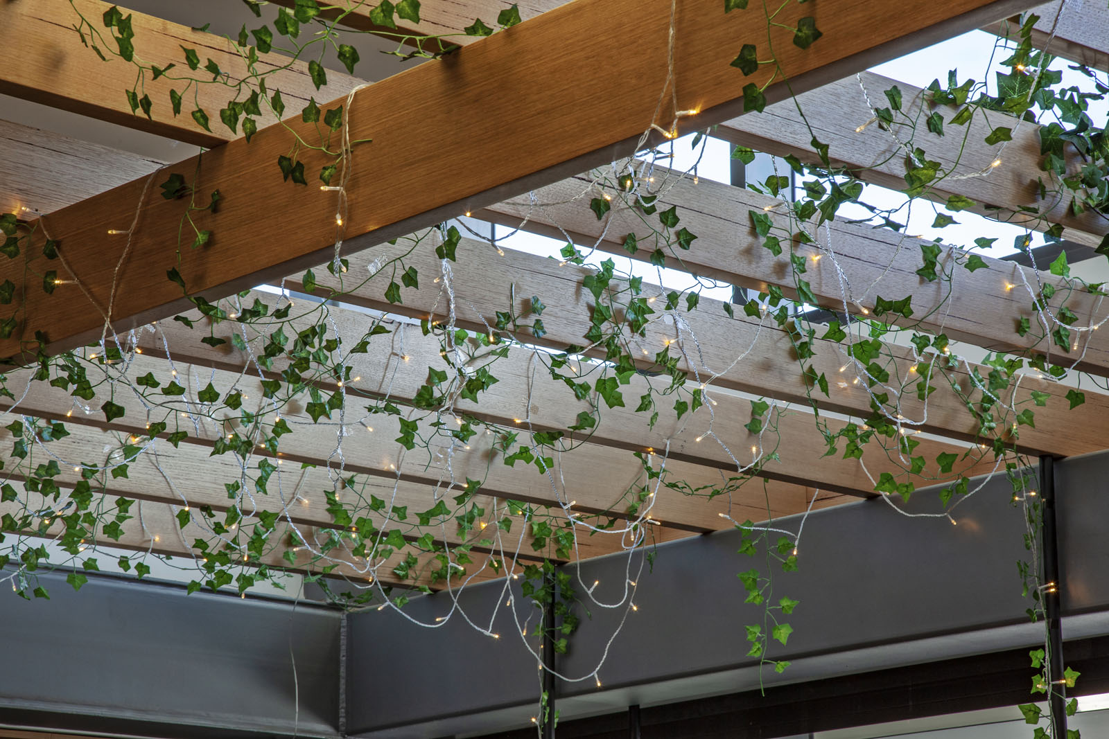 OMNI Building Group Commercial Builders | Dubbo & Newcastle - About